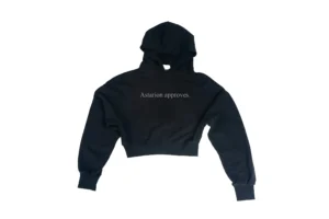 Astarion Approves Crop Hoodie